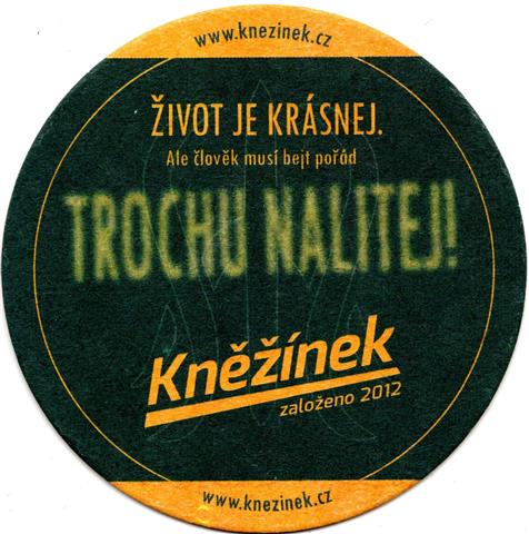 ceske budejovice jc-cz knezinek rund 1a (215-trochu nalitejk)